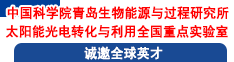 中國(guó)科學(xué)院青島生物能源與過(guò)程研究所太陽(yáng)能光電轉(zhuǎn)化與利用全國(guó)重點(diǎn)實(shí)驗(yàn)室誠(chéng)邀全球英才